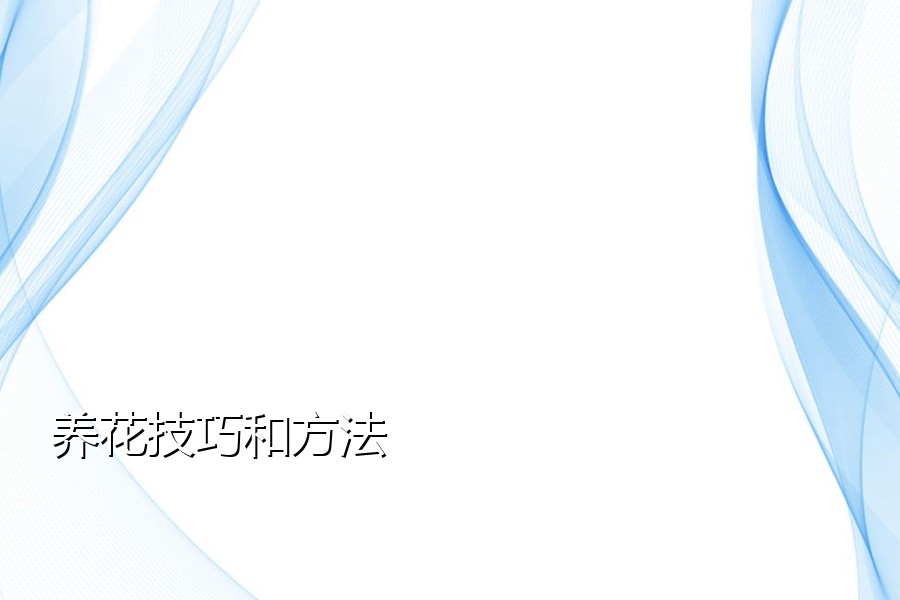 养花技巧和方法