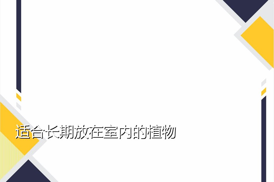 适合长期放在室内的植物