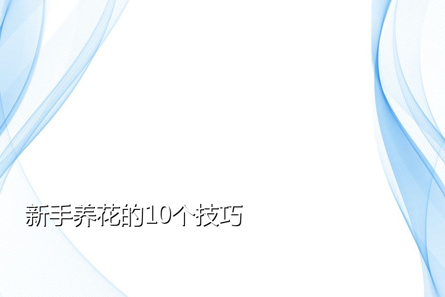 新手养花的10个技巧